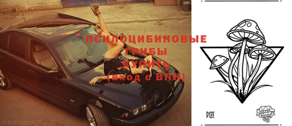 мяу мяу мука Ханты-Мансийск