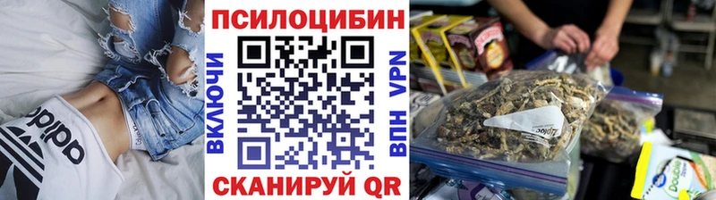 Псилоцибиновые грибы прущие грибы  Купить закладки  Томилино 